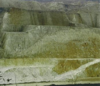 Découvertes néolithiques par prospections pédestres sur le plateau de Froidmont (Haccourt/Oupeye)
