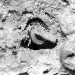 Quelques observations sur l’éthologie de la larve d’Ochthephilus Aureus