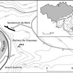 néolithiques de la grotte CH1 de Chauveau