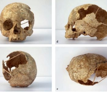 Les ossements humains du Mésolithique ancien de la grotte de Claminforge