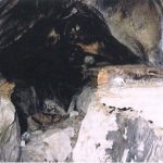 La grotte Nicole - Province de Liège