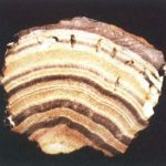 Géomorphologie minière et karstique d'Eyneburg à Hof Huset