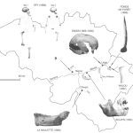 paléoenvironnement dans le karst mosan
