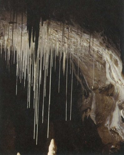 grotte Lyell,grotte de Rosée,Carmeuse,Chercheurs de la Wallonie,préservation