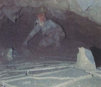 Contribution à la connaissance de la faune des grottes de Wallonie