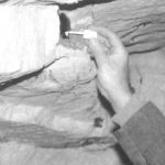 Etude du taux de renouvellement des populations chiroptérologiques dans les gites souterrains en période d'hibernation