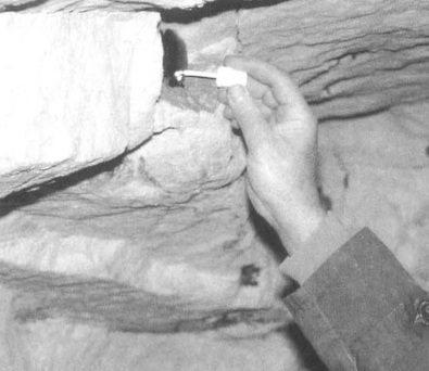 Etude du taux de renouvellement des populations chiroptérologiques dans les gites souterrains en période d'hibernation